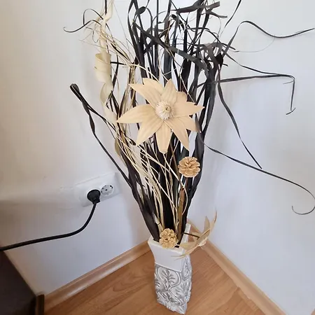 2br Mountain View - Washer, 300mbps Wifi, Aircon Apartament Bansko