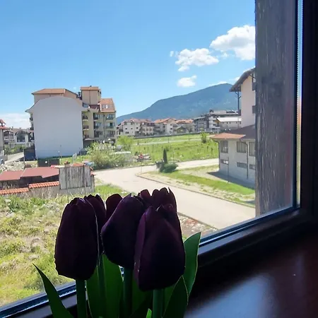 Apartment 2br Mountain View - Washer, 300mbps Wifi, Aircon *