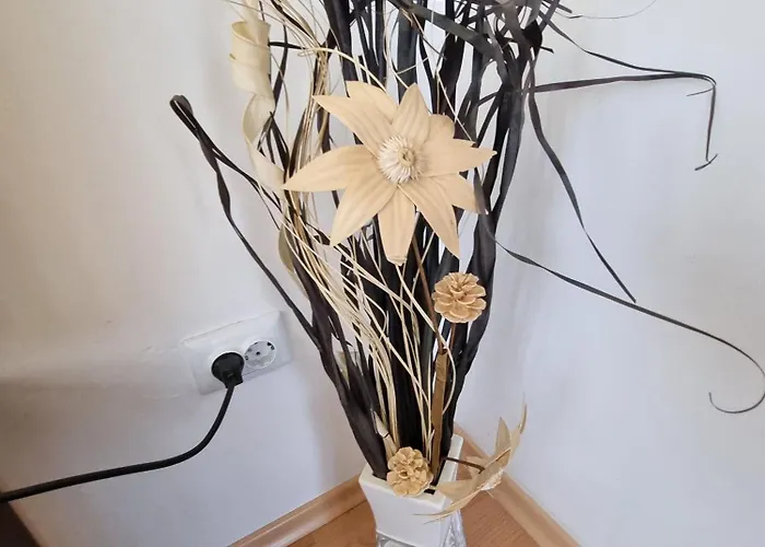 2br Mountain View - Washer, 300mbps Wifi, Aircon Apartman Banszko